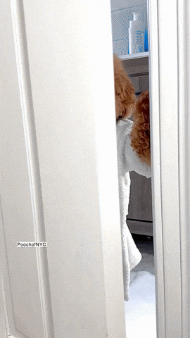 René peeking around the door